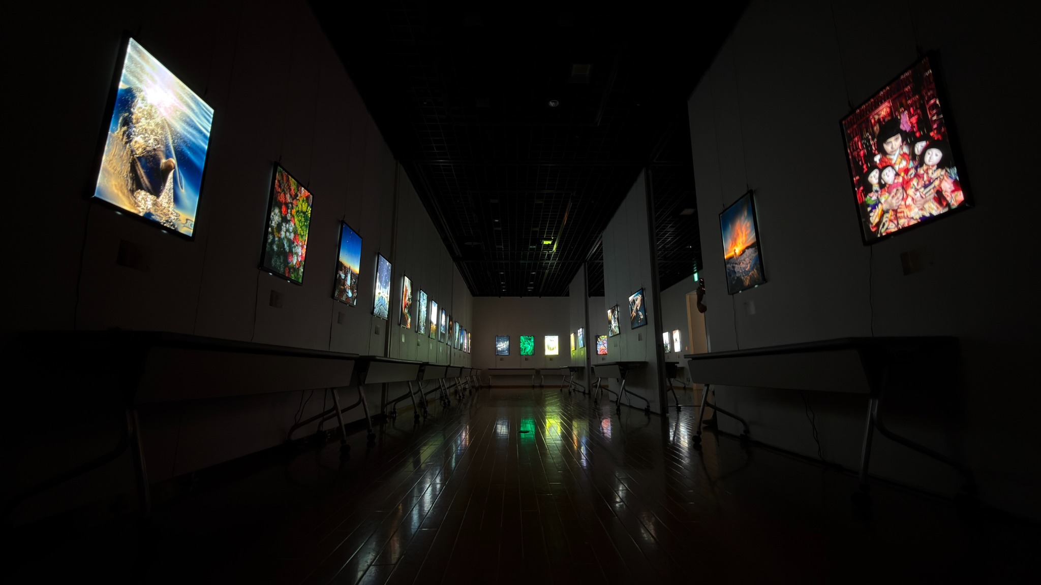 愛知HIKARUE2026写真展の会場。左右に並ぶ光る作品と床に映る光。